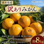 訳ありみかん 約8kg