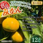 有明海を望む段々畑で 土からこだわって育てたみかん 約12kg