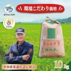 新米 きらみずき 白米 10kg