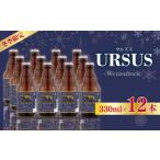 クラフトビール ザ デイ Nクラシック 12本