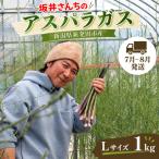 令和9年夏 アスパラガス Lサイズ 1kg