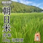 新米 令和8年産 瀬戸内 自然栽培米 朝日米
