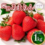 いちご あまりん 1kg