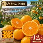 熊本 みかん 定期便 11月 果物 フルーツ 果実
