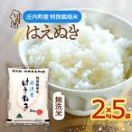 特別栽培米 はえぬき 無洗米 10kg