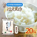特別栽培米 はえぬき 無洗米 20kg
