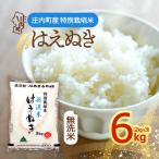 特別栽培米 はえぬき 無洗米 6kg