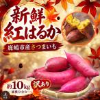 さつまいも 訳あり 紅はるか 約10kg
