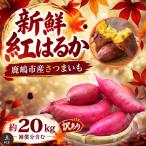 さつまいも 訳あり 紅はるか 約20kg