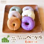店主 ベーグル 6個セット ITTAQ001