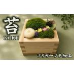 升コケ‐大‐ インテリア グリーン 観葉 植物苔