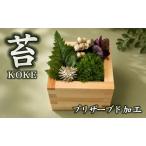 升コケ‐小‐ インテリア グリーン 観葉 植物苔