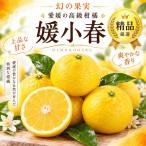 媛小春 約5kg
