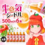 シードル 生意気シードル 500ml×6本