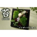 フレームモス インテリア グリーン 観葉 植物苔