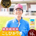 コシヒカリ 特別栽培米 精米 10kg