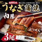 肉厚ふっくらうなぎ蒲焼 3尾入り