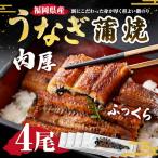 肉厚ふっくらうなぎ蒲焼 4尾入り
