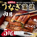 肉厚ふっくらうなぎ蒲焼 5尾入り