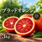 ブラッドオレンジ3kg B580