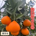 あいか48号 約3kg