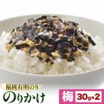 福岡 有明のりのりかけ 梅のりかけ 30g×2
