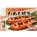 いわし明太 10尾