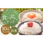 食べ比べセット 10kg
