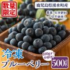 冷凍ブルーベリー 計500g