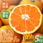 長崎みかん 甘夏みかん 約5kg