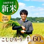 新米 コシヒカリ 精米 10kg