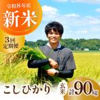 新米 コシヒカリ 精米 10kg