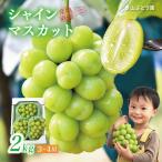 ぶどう シャインマスカット 2kg