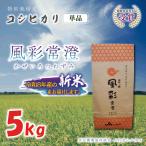 令和8年産 特別栽培米コシヒカリ 風彩常澄 5kg