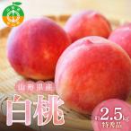 白桃約2.5kg 特秀品 品種 玉数おまかせ