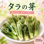 タラの芽 200g