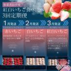 事業者お任せ 紅白いちご食べ比べ定期便