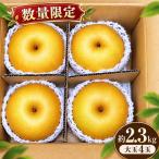 南信州生まれのジューシーで甘い梨 南水梨 約2.3kg