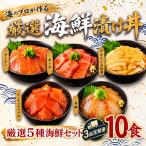 タカシン水産の漬け丼 5種