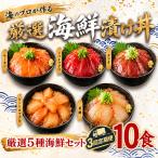 タカシン水産の漬け丼 5種