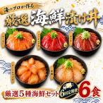 タカシン水産の漬け丼 5種
