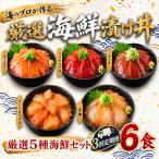 タカシン水産の漬け丼 5種