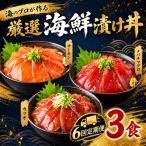 タカシン水産の漬け丼 3種