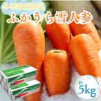 ふかうら雪人参 約5kg