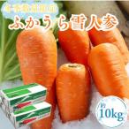 ふかうら雪人参 約10kg
