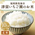 津留いちご園のお米 玄米 農薬 化学肥料不使用