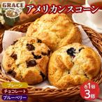 アメリカンスコーン 3種