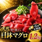 6回定期便 天然めばちマグロ 切り落とし