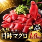 3回定期便 天然めばちマグロ 切り落とし