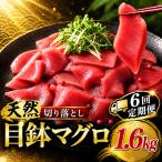 6回定期便 天然めばちマグロ 切り落とし
